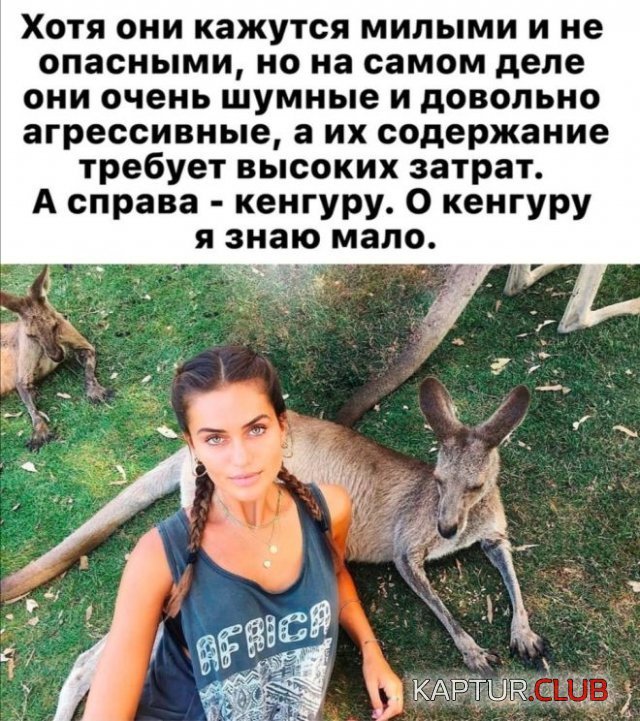 210494_1_trinixy_ru.jpg | Рено Каптур Клуб Россия | Форум KAPTUR.SU