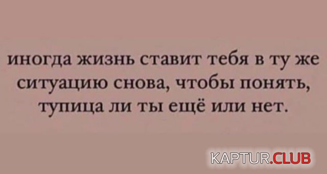 210865_7_trinixy_ru.jpg | Рено Каптур Клуб Россия | Форум KAPTUR.SU