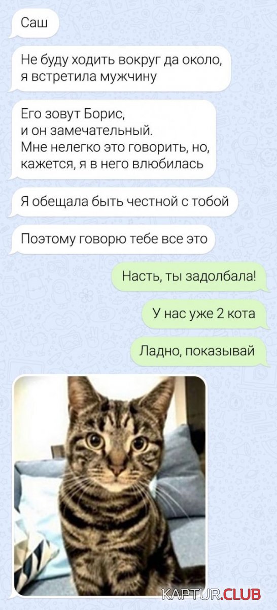 211333_18_trinixy_ru.jpg | Рено Каптур Клуб Россия | Форум KAPTUR.SU