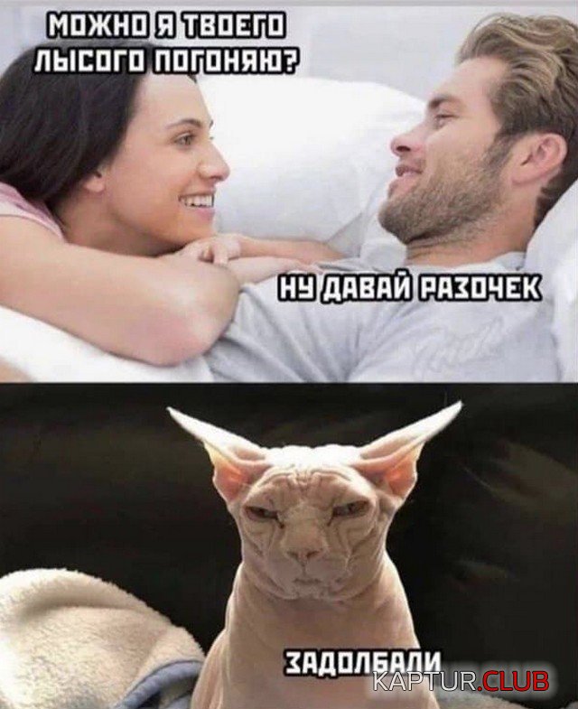 211348_13_trinixy_ru.jpg | Рено Каптур Клуб Россия | Форум KAPTUR.SU