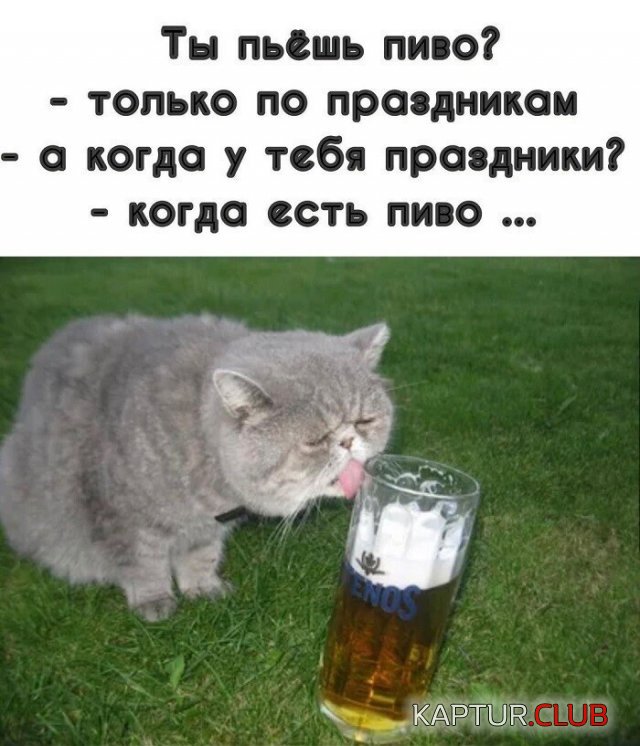 211360_14_trinixy_ru.jpg | Рено Каптур Клуб Россия | Форум KAPTUR.SU