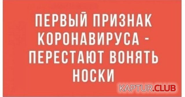 212381_1_trinixy_ru.jpg | Рено Каптур Клуб Россия | Форум KAPTUR.SU