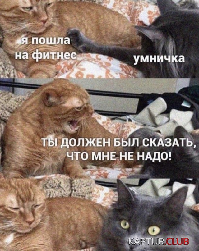 212551_15_trinixy_ru.jpg | Рено Каптур Клуб Россия | Форум KAPTUR.SU