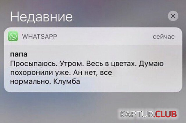 212681_3_trinixy_ru.jpg | Рено Каптур Клуб Россия | Форум KAPTUR.SU