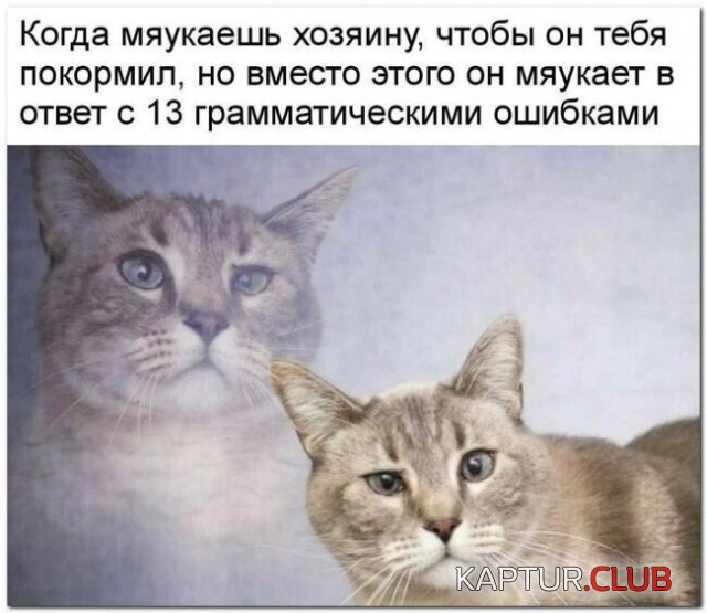212709_5_trinixy_ru.jpg | Рено Каптур Клуб Россия | Форум KAPTUR.SU