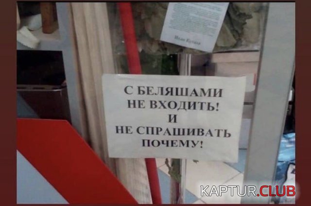 212840_8_trinixy_ru.jpg | Рено Каптур Клуб Россия | Форум KAPTUR.SU