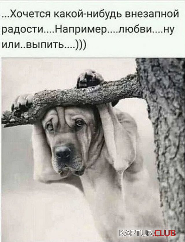 213050_15_trinixy_ru.jpg | Рено Каптур Клуб Россия | Форум KAPTUR.SU