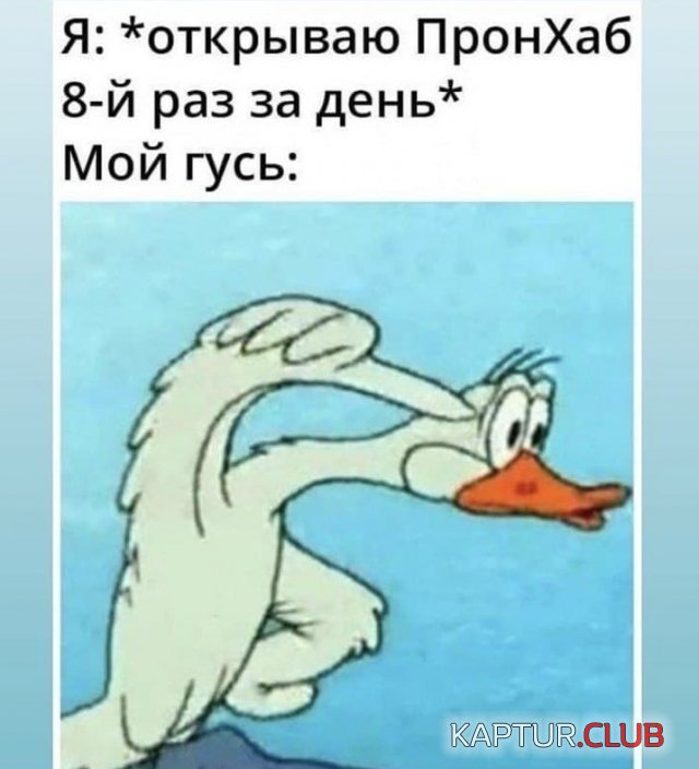 213064_9_trinixy_ru.jpg | Рено Каптур Клуб Россия | Форум KAPTUR.SU
