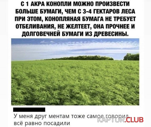 213462_14_trinixy_ru.jpg | Рено Каптур Клуб Россия | Форум KAPTUR.SU