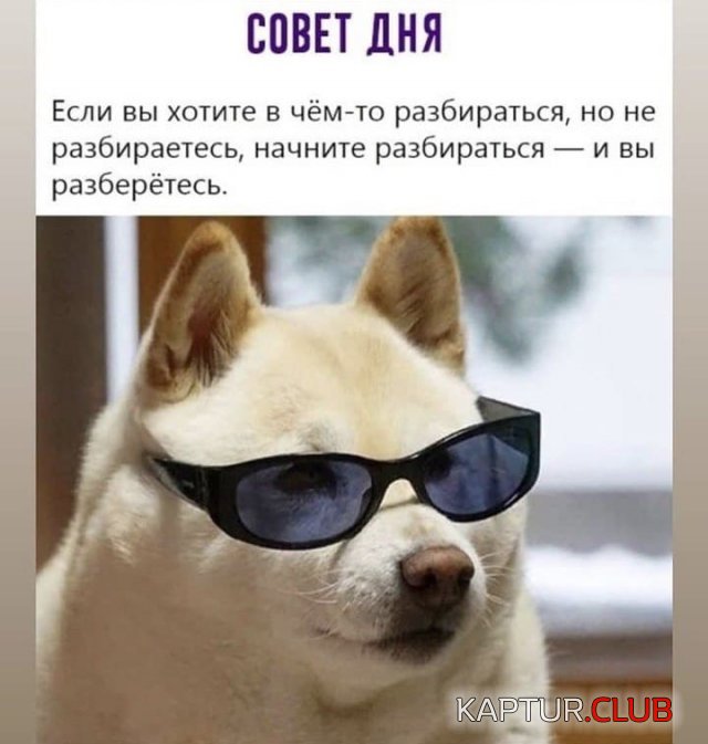 213537_15_trinixy_ru.jpg | Рено Каптур Клуб Россия | Форум KAPTUR.SU