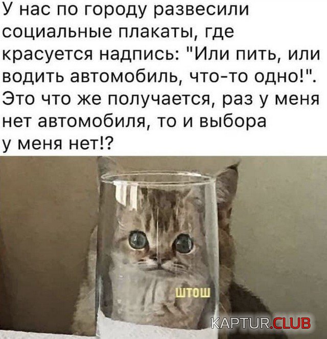 213607_9_trinixy_ru.jpg | Рено Каптур Клуб Россия | Форум KAPTUR.SU