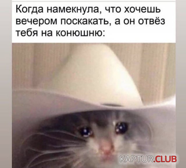 213802_7_trinixy_ru.jpg | Рено Каптур Клуб Россия | Форум KAPTUR.SU