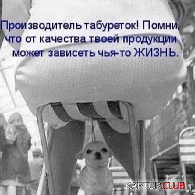 213866_4_trinixy_ru.jpg | Рено Каптур Клуб Россия | Форум KAPTUR.SU