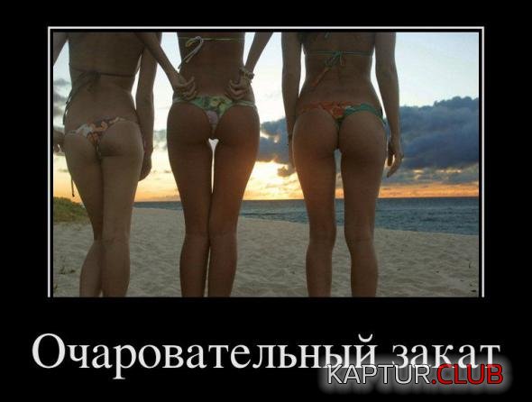 213db3afe0ac42c58b379c972d6_prev.jpg | Рено Каптур Клуб Россия | Форум KAPTUR.SU