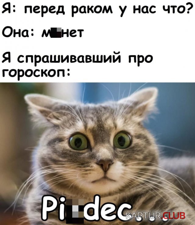 214174_14_trinixy_ru.jpg | Рено Каптур Клуб Россия | Форум KAPTUR.SU