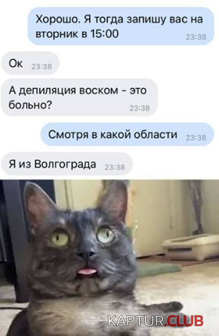 214445_2_trinixy_ru.jpg | Рено Каптур Клуб Россия | Форум KAPTUR.SU