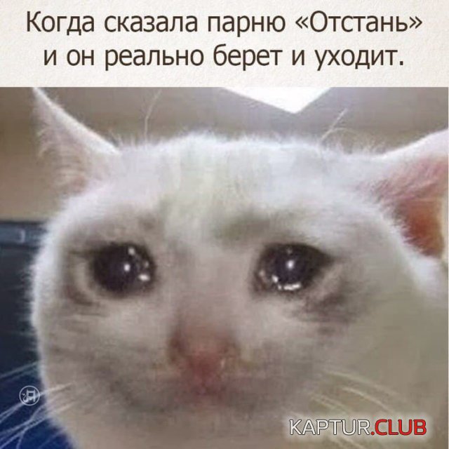 214873_4_trinixy_ru.jpg | Рено Каптур Клуб Россия | Форум KAPTUR.SU
