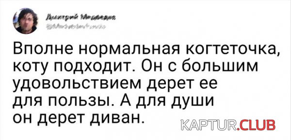 214962_10_trinixy_ru.jpg | Рено Каптур Клуб Россия | Форум KAPTUR.SU