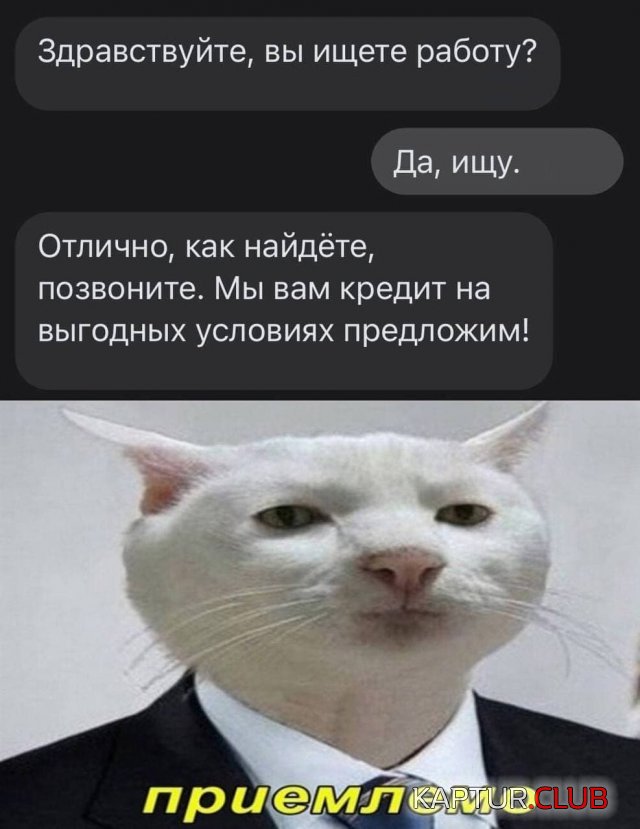 215203_10_trinixy_ru.jpg | Рено Каптур Клуб Россия | Форум KAPTUR.SU
