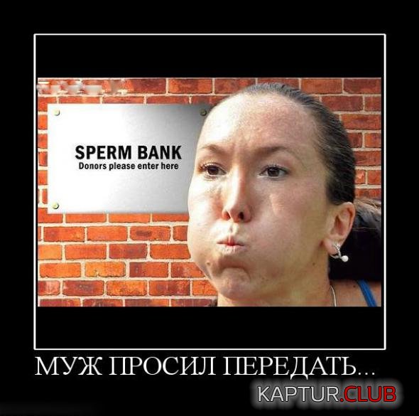2153ad7346a83d48a8ae9a58f2f_prev.jpg | Рено Каптур Клуб Россия | Форум KAPTUR.SU