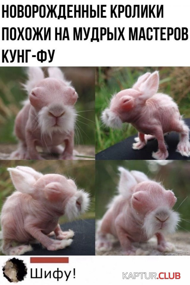 215741_11_trinixy_ru.jpg | Рено Каптур Клуб Россия | Форум KAPTUR.SU