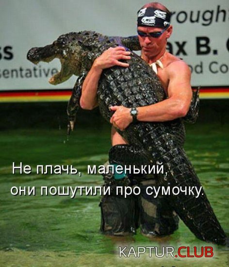 2166283ea5f245e4f272e98d32d.jpg | Рено Каптур Клуб Россия | Форум KAPTUR.SU