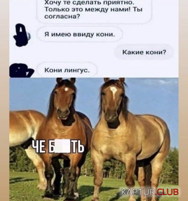 216919_10_trinixy_ru.jpg | Рено Каптур Клуб Россия | Форум KAPTUR.SU
