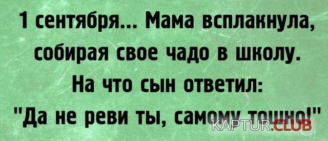 217109_11_trinixy_ru.jpg | Рено Каптур Клуб Россия | Форум KAPTUR.SU