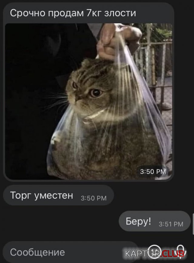 217240_7_trinixy_ru.jpg | Рено Каптур Клуб Россия | Форум KAPTUR.SU
