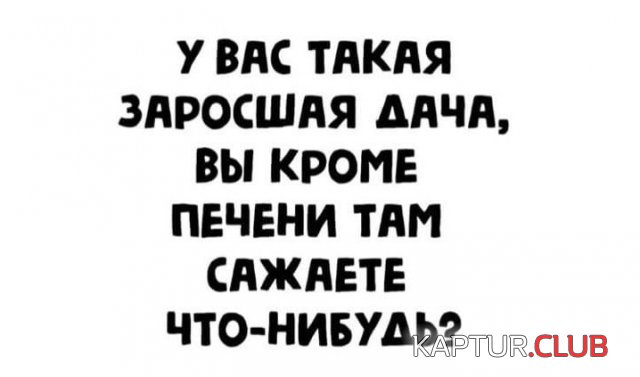 217341_7_trinixy_ru.jpg | Рено Каптур Клуб Россия | Форум KAPTUR.SU