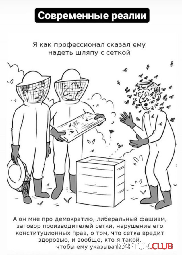 217460_6_trinixy_ru.jpg | Рено Каптур Клуб Россия | Форум KAPTUR.SU