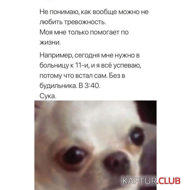 218236_5_trinixy_ru.jpg | Рено Каптур Клуб Россия | Форум KAPTUR.SU
