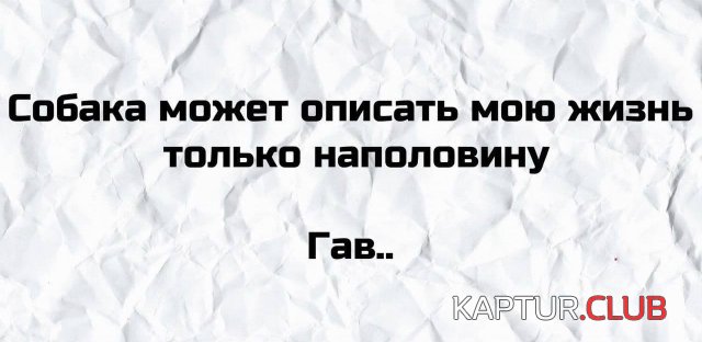 218836_16_trinixy_ru.jpg | Рено Каптур Клуб Россия | Форум KAPTUR.SU
