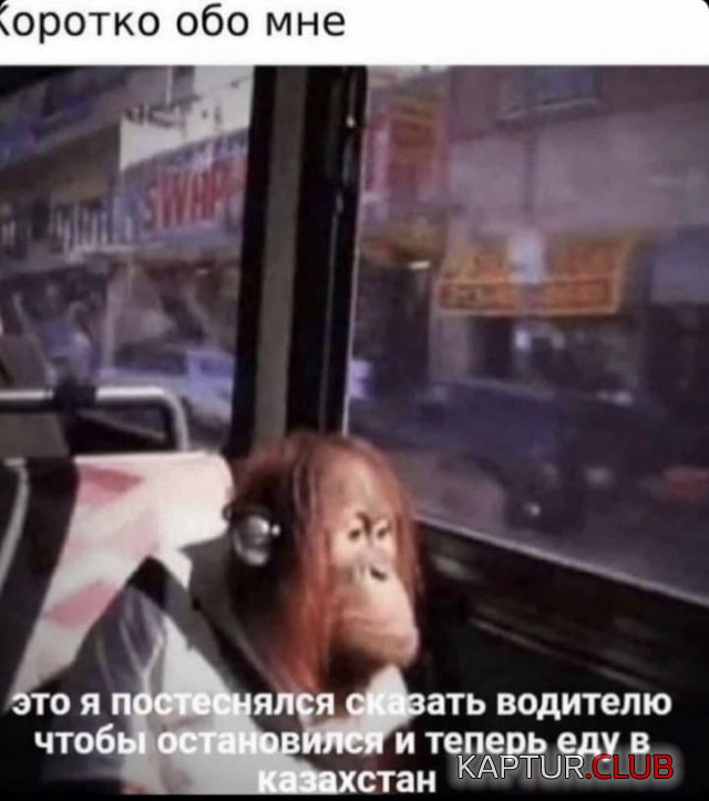 219277_2_trinixy_ru.jpg | Рено Каптур Клуб Россия | Форум KAPTUR.SU