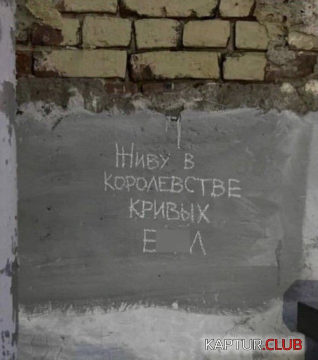 219769_6_trinixy_ru.jpg | Рено Каптур Клуб Россия | Форум KAPTUR.SU