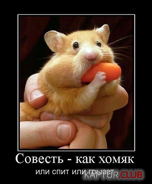21d6a929eadbd0fbedfaa12483d.jpg | Рено Каптур Клуб Россия | Форум KAPTUR.SU