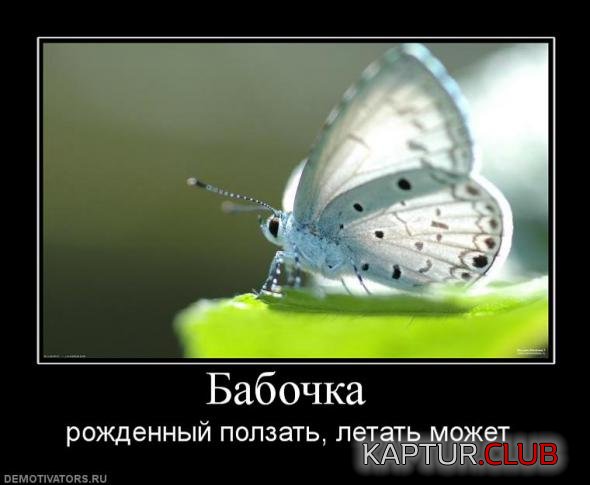 21df2ce0de6465347786929cdeb_prev.jpg | Рено Каптур Клуб Россия | Форум KAPTUR.SU