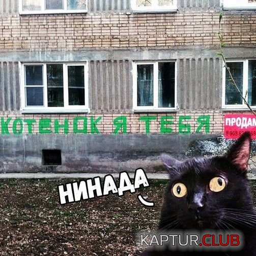 21e8b63cb1223e112c70bdf50a5.jpg | Рено Каптур Клуб Россия | Форум KAPTUR.SU