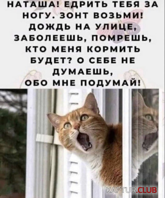 220123_14_trinixy_ru.jpg | Рено Каптур Клуб Россия | Форум KAPTUR.SU