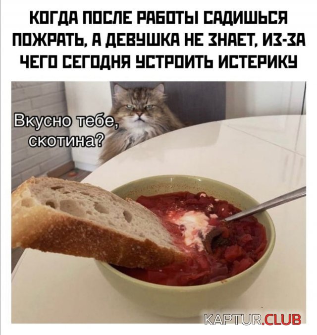 220458_9_trinixy_ru.jpg | Рено Каптур Клуб Россия | Форум KAPTUR.SU