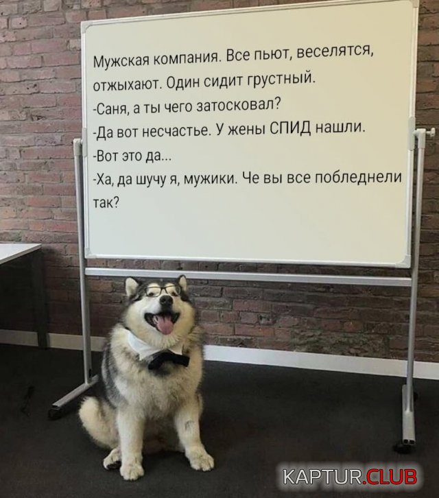 220846_4_trinixy_ru.jpg | Рено Каптур Клуб Россия | Форум KAPTUR.SU