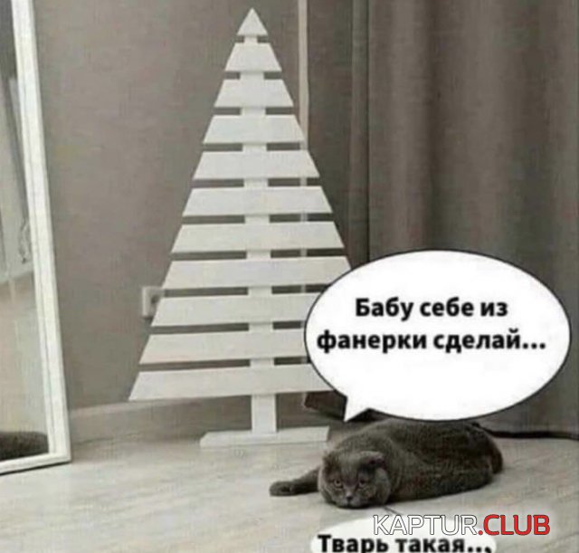 221.jpg | Рено Каптур Клуб Россия | Форум KAPTUR.SU