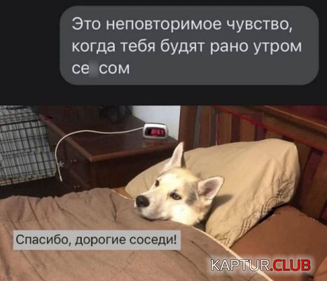 221505_1_trinixy_ru.jpg | Рено Каптур Клуб Россия | Форум KAPTUR.SU