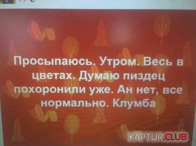 222.jpg | Рено Каптур Клуб Россия | Форум KAPTUR.SU