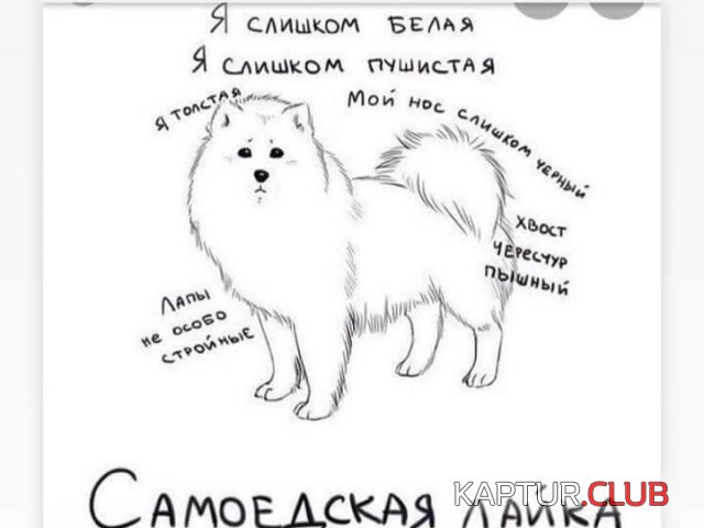 222065_7_trinixy_ru.jpg | Рено Каптур Клуб Россия | Форум KAPTUR.SU