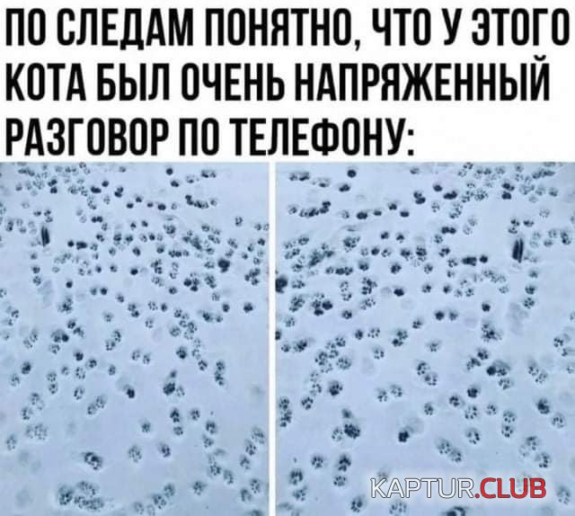 222386_13_trinixy_ru.jpg | Рено Каптур Клуб Россия | Форум KAPTUR.SU
