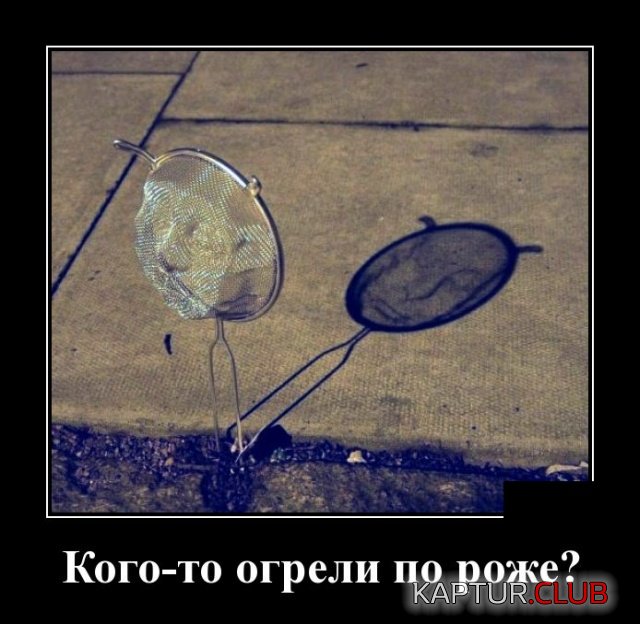 2227.jpg | Рено Каптур Клуб Россия | Форум KAPTUR.SU