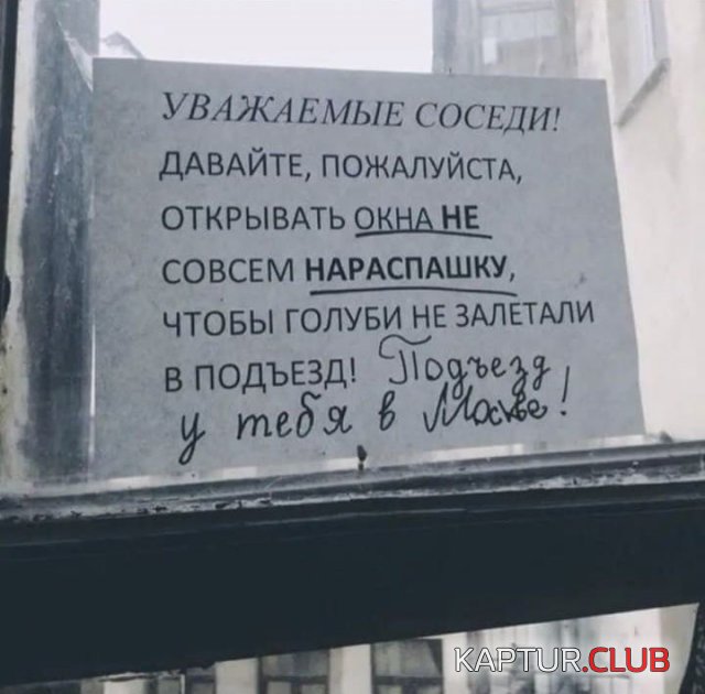 222972_1_trinixy_ru.jpg | Рено Каптур Клуб Россия | Форум KAPTUR.SU