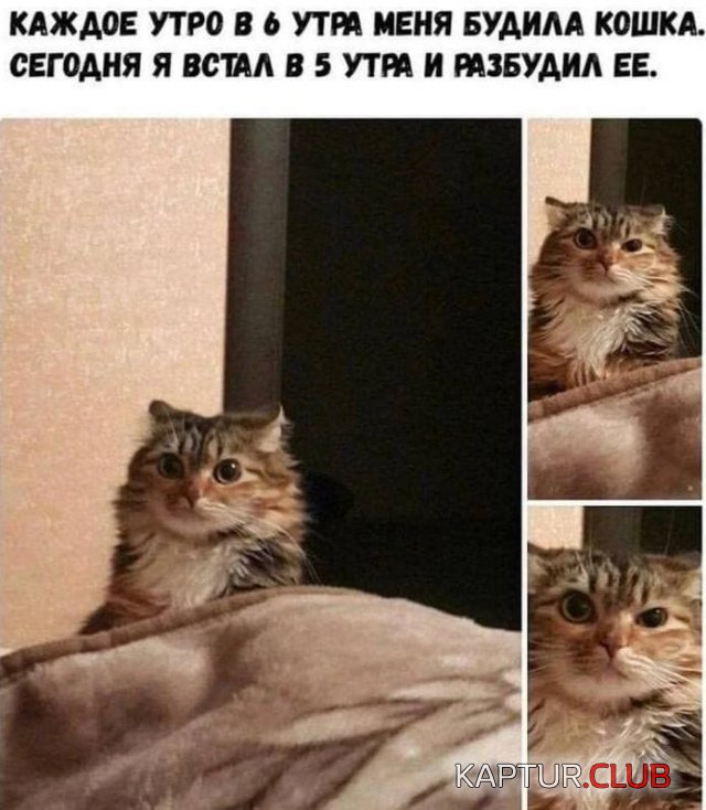 223102_11_trinixy_ru.jpg | Рено Каптур Клуб Россия | Форум KAPTUR.SU