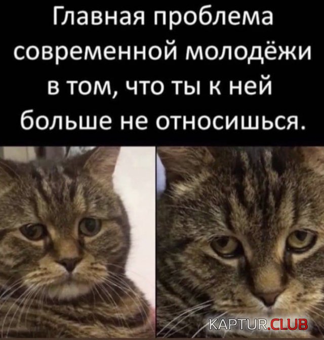 223585_17_trinixy_ru.jpg | Рено Каптур Клуб Россия | Форум KAPTUR.SU